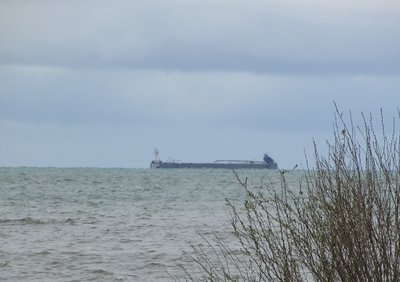 She was off East Tawas, above the mouth of Saginaw Bay, apparently turning to head to Bay City.