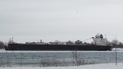 Buffalo waiting for her major make-over by the Government Dock, at Sarnia.