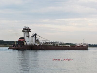 Tug Dorothy Ann and barge Pathfinder (Detroit) glide past Stag Island.