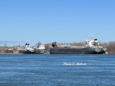Saginaw, Manitoulin and their fleet-mates, waiting for the start of the 2021-22 shipping season.