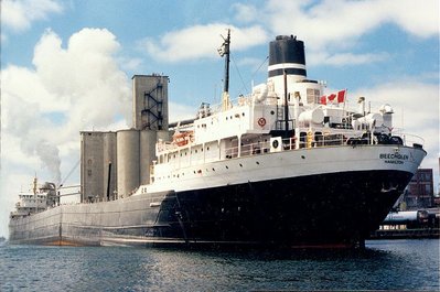 S.S. Beechglen in Cardinal , broken.jpg