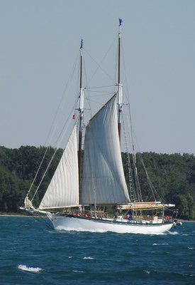 2016-07-12l Appledore IV.jpg (98.75 KiB) Viewed 2934 times Later in the day, Tall Ship Appledore IV came past.