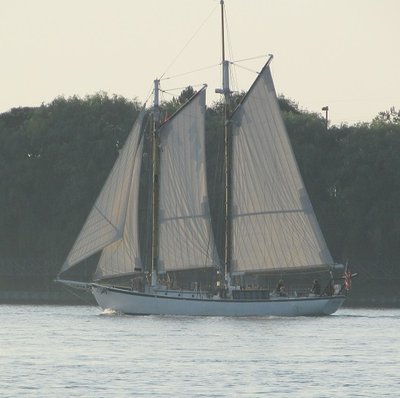 2016-07-12k Appledore V.jpg (99.6 KiB) Viewed 2935 times Tall Ship Appledore V was out early, in the morning mist.
