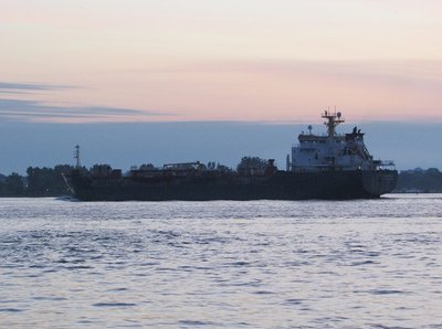 2016-07-12d Algonova.jpg (102.96 KiB) Viewed 2934 times Algonova in first light as she headed to Sault Ste. Marie.