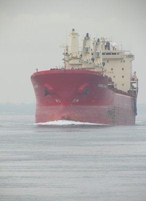 Federal Rhine, sitting high in ballast, on her way to Duluth.