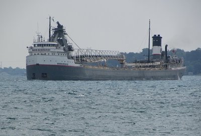 Mississagi up-bound to Sarnia.