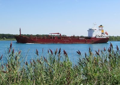 Tanker Songa Opal up-bound to one of the Sarnia fuel docks.