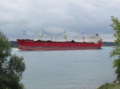 2016-09-08g Fed_Hunter.jpg (100.29 KiB) Viewed 1414 times Another saltie, Federal Hunter (Marshall Islands) making her way to Thunder Bay.