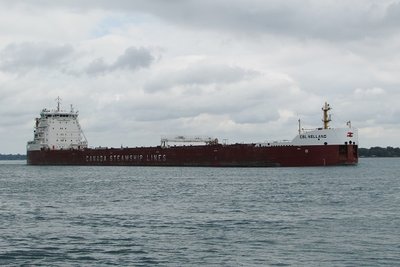 2016-09-08e CSL_Welland.jpg (89.45 KiB) Viewed 1431 times CSL Welland, under threatening skies, with a load of grain going to Sorel.