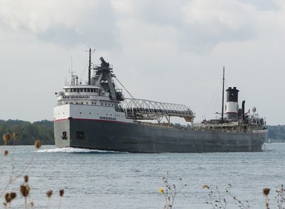 2016-09-08a Mississagi.jpg (85.11 KiB) Viewed 1414 times Mississagi making a lovely bow wake -- which many refer to as a "bone in her teeth" -- as she moves up river to Sault Ste. Marie.