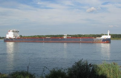 2016-09-09f AlgoHarvester.jpg (96.91 KiB) Viewed 1695 times Algoma Harvester reflects the late day sun, down-bound to Baie Comeau. A resident along the river commented she'd not seen this ship in some time.