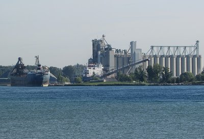 2016-09-13a Algorail & Algowood.jpg (116.25 KiB) Viewed 1519 times Algorail, still waiting, as Algowood, loads at the Government Dock in Sarnia.