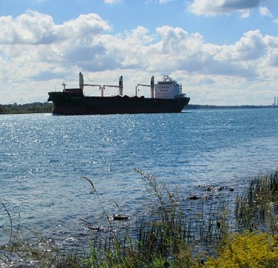 2016-09-12b Labrador.jpg (120.46 KiB) Viewed 1502 times Labrador (Cyprus) in ballast for Thunder Bay.