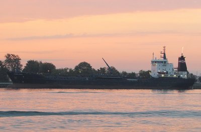 Tanker Algoma Hansa at the Corunna fuel dock.  Look closely at her stack.  It appears to have a towering flame -- coming from a hidden stack at the near-by petrochemical facility.