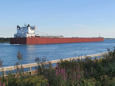 2016-09-21 Gott.jpg (89.29 KiB) Viewed 1624 times Edwin H. Gott, sailing past on Wednesday, en route to a Lake Erie port.