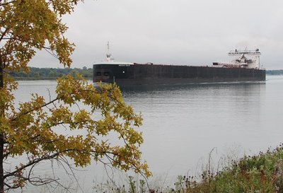 2016-10-01c Am_Century.jpg (107.44 KiB) Viewed 1916 times American Century against a backdrop of early fall colors, in ballast for Duluth