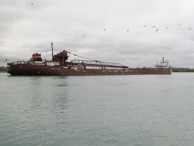 2016-10-27d HCJ.jpg (89.42 KiB) Viewed 1655 times This flock of gulls was apparently showing off for the crew and anyone else watching.