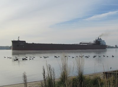 Once out of the fog it appeared she'd have clear sailing to Silver Bay.