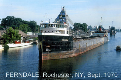 Ferndale1.jpg