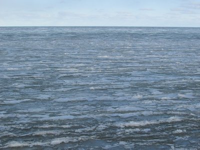 2017-03-12b.jpg (284.49 KiB) Viewed 2228 times Ice building as far as you can see!