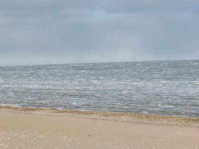 Only a few hours before, at his very place, the water was open and mergansers were swimming and diving close to shore.