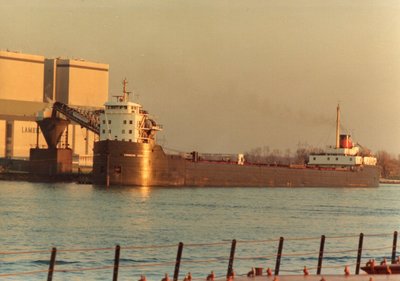 Canadian Century unloading coal at Lambton power plant.
