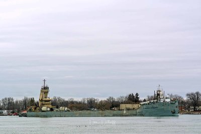 DJD_NIKON D7100_20160222_11_32_00001-Edit-2.jpg