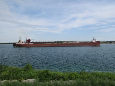 2017-07-11c LAT.jpg
