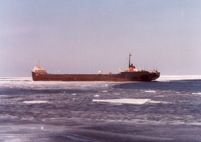 Canadian Mariner upbound near Caribou Island.