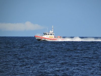 Looked like they were on a chase, but a few minutes later, they stopped still, north of the Oscoda Marina.