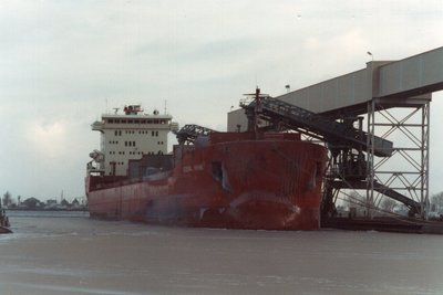 Federal Rhine loading sunflower seeds and wheat Cargill B-1, Duluth.
