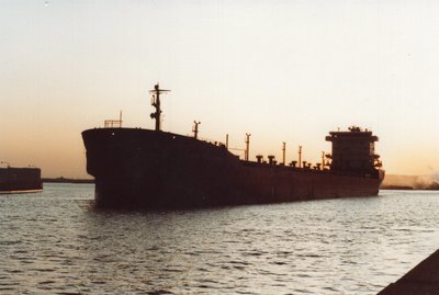 Federal Rhine outbound Duluth at sunset with grain.