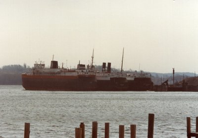 From left to right-Viking, Arthur K. Atkinson, City of Milwaukee laid up in Elberta, Michigan. 3/1/83.