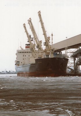 M/V Tim Buck loading at Cargill B-1, Duluth.