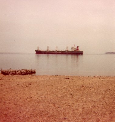 Unknown salty