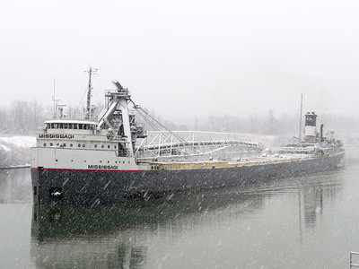 Mississagi 12.23.2017 BarryAndersen.JPG