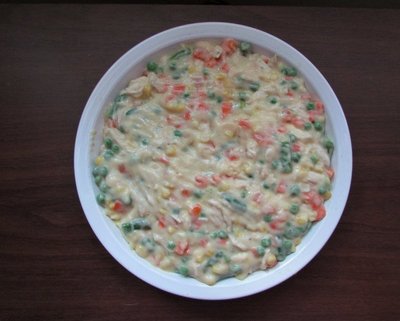 First course (frozen) mixed vegetables, cooked and cubed chicken breast, cream of chicken soup w/broth from the chicken breast, sliced green onion, and seasonings.  After baking to bubbling, topped with refrigerated biscuits and baked until they were golden brown.