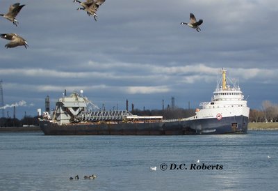 Marysville, MI (St. Clair River)