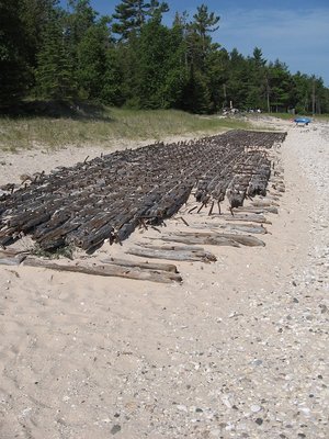 I photographed the shipwreck skeleton in 2007...