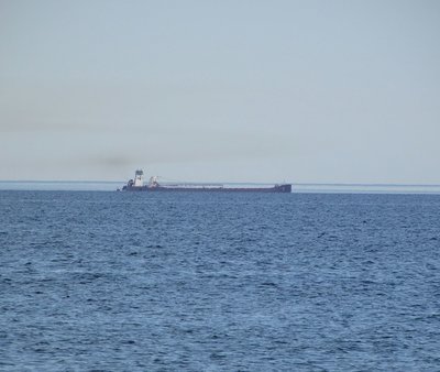 Moving gracefully along the horizon.