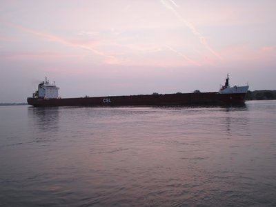 2018-08-15b Spruceglen.jpg