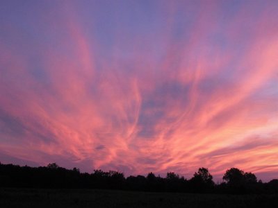 Incredibly beautiful pre-sunrise skies!