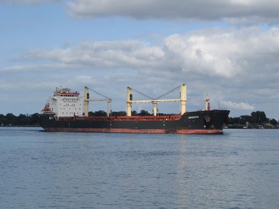 Saltie Osogovo