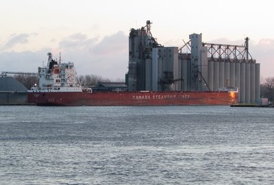 CSL Welland at the Sarnia Government Dock just after daybreak.