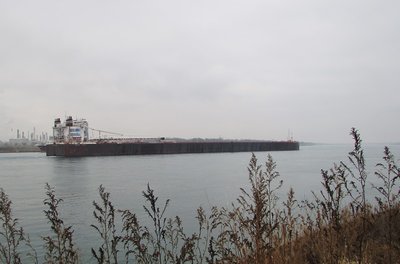 Indiana Harbor carrying a cargo of coal to the St. Clair RECOR plant.