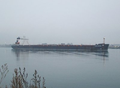 Algoma Discovery (Hamilton)