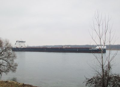 Algoma Harvester (Port Cartier) south of Marysville.