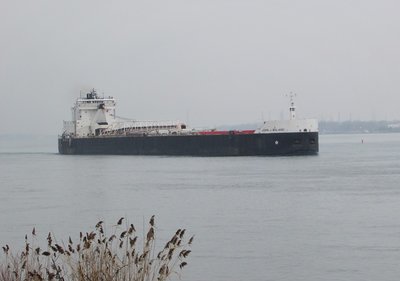 John J. Boland (Detroit) sails out of Chemical Valley down-bound.