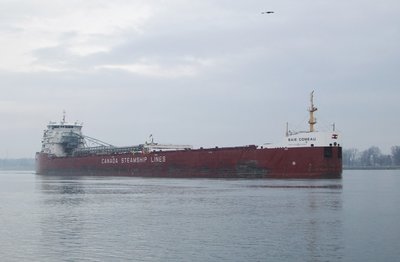 Baie Comeau (Toledo) at the Marysville boat launch.