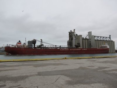 Frontenac at Sarnia Elevator.